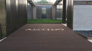 Настраиваемый бархатный ковер с вырезанным логотипом, противоскользящая нижняя часть спинки из ПВХ, полностью покрытый ковер для офиса