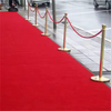 Red Carpet Runner для мероприятий, а не Slip Red Aisle Runway Rug для вечеринок свадьбы и специальных мероприятий украшений