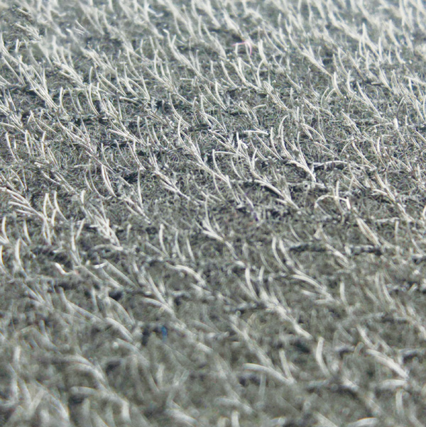 Гекконы лапа