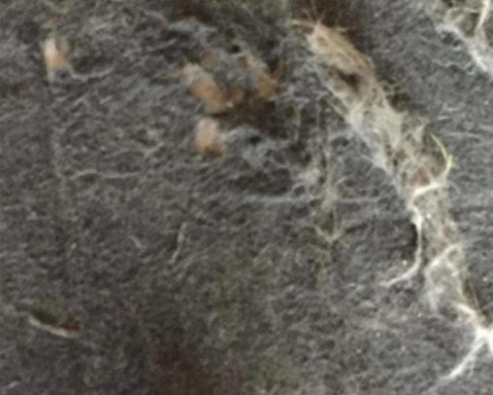 Традиционная поверхность стула